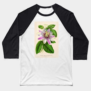 Passion Flower - Passion Vine botanical illustration Baseball T-Shirt